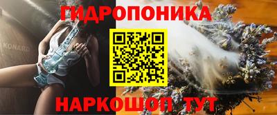 ECSTASY Кимры